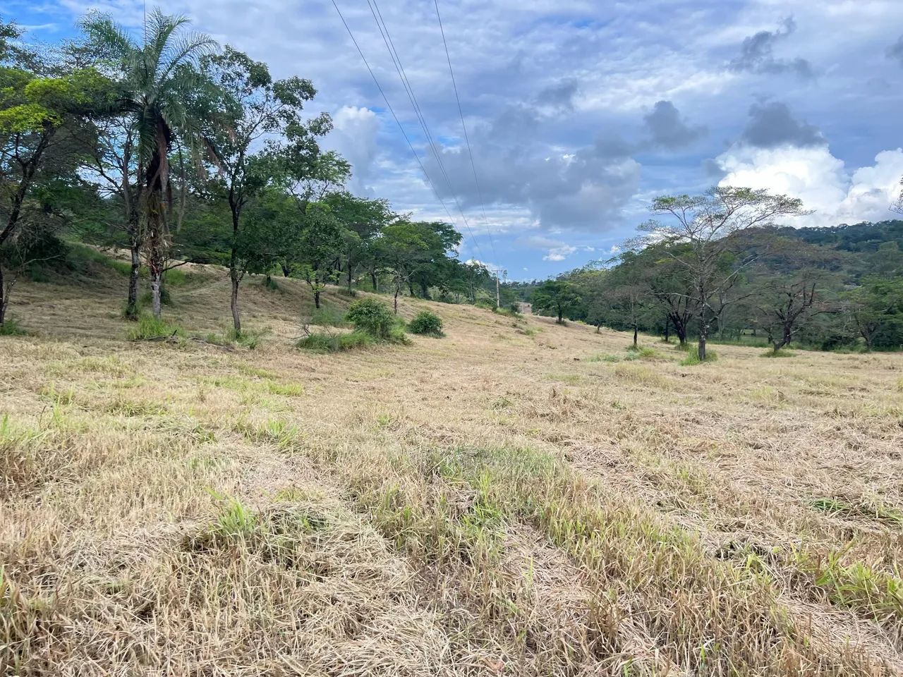 Fazenfinhas rurais em Pará de Minas  - Foto 2