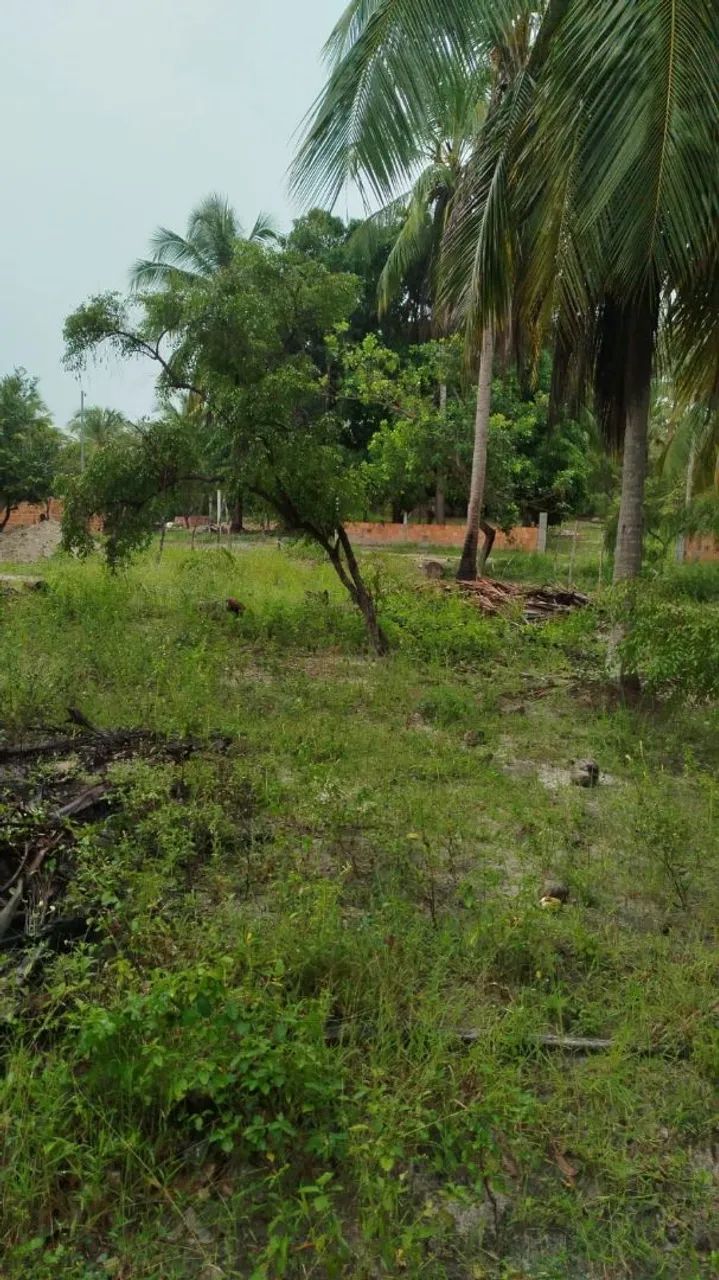Terreno Lagoa redonda 10x34  40.0000