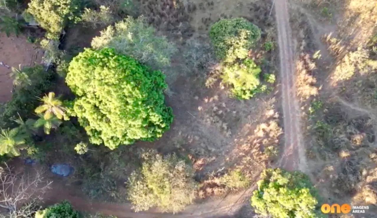 Chácara 1.900m² em Paraíso do Tocantins - Rua 14 - R$ 170.000 - Foto 5