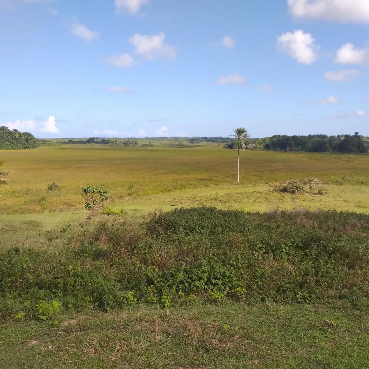Chacará com 45 Hectares Grameme - Escritura Pública - Foto 5