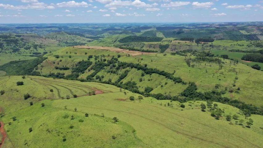 Fazenda em Ibema - Foto 3