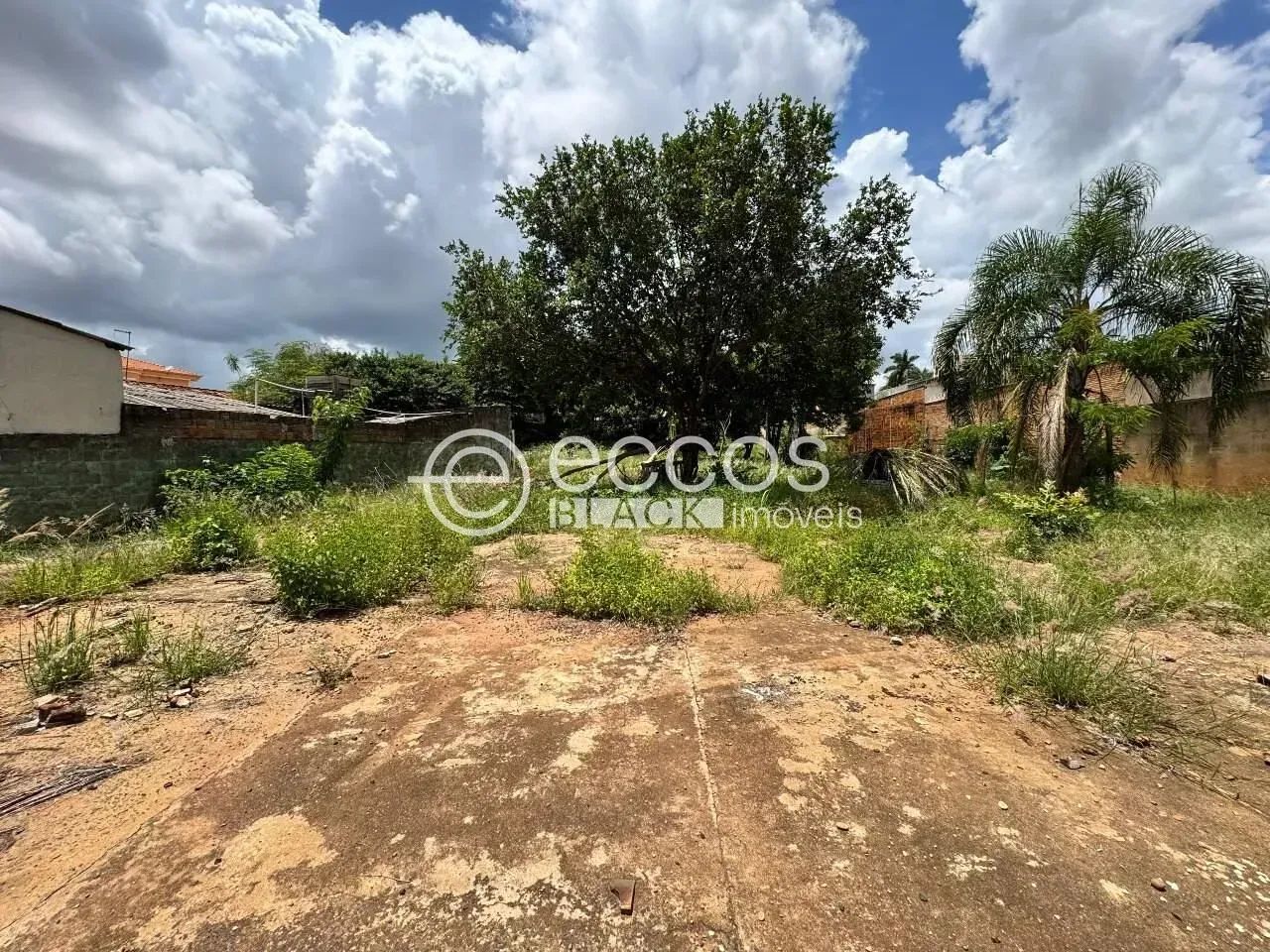 Terreno à venda, Mercês - UBERABA/MG - Foto 3