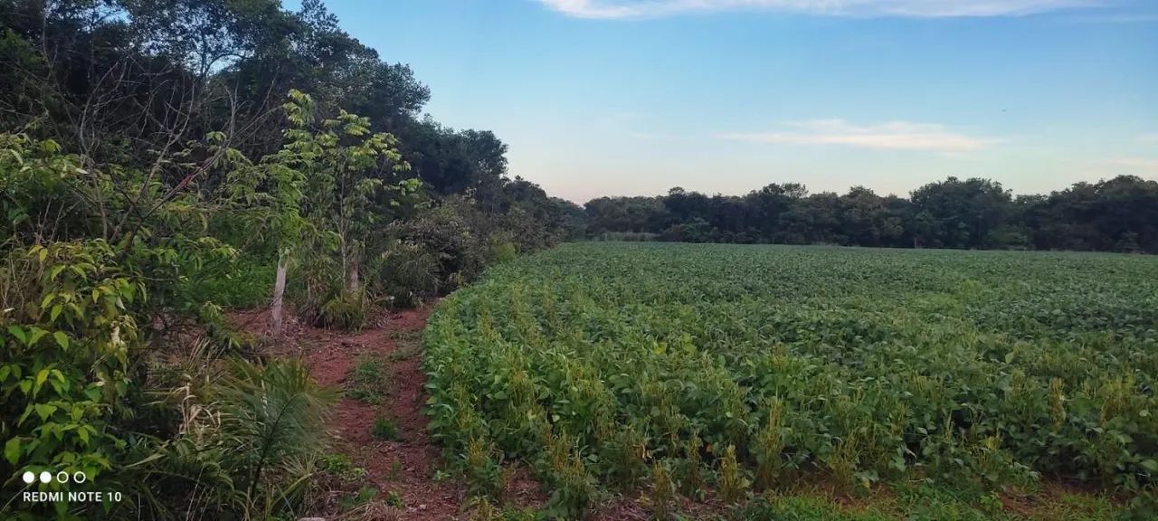 Fazenda para Venda em Monte Santo do Tocantins