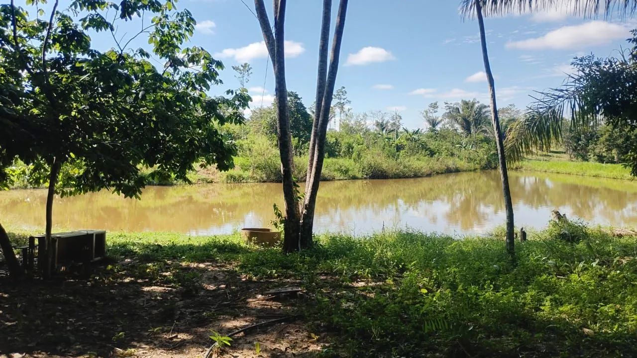 Chácara  - Foto 5