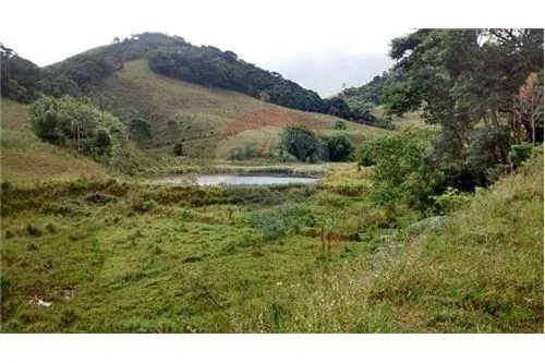 FAZENDA SANTA RITA DE CASSIA - Foto 4
