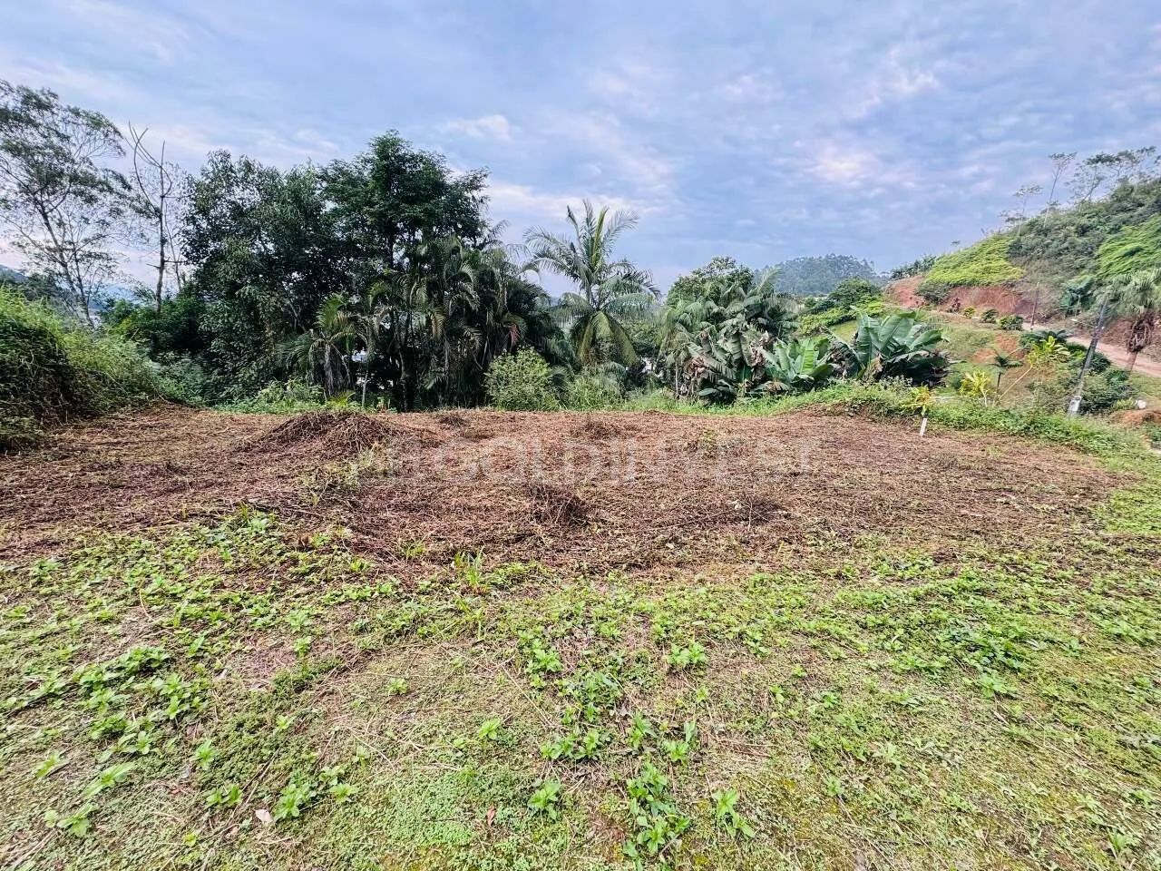 Terreno com 380,32 m² no bairro Steffen - Foto 2