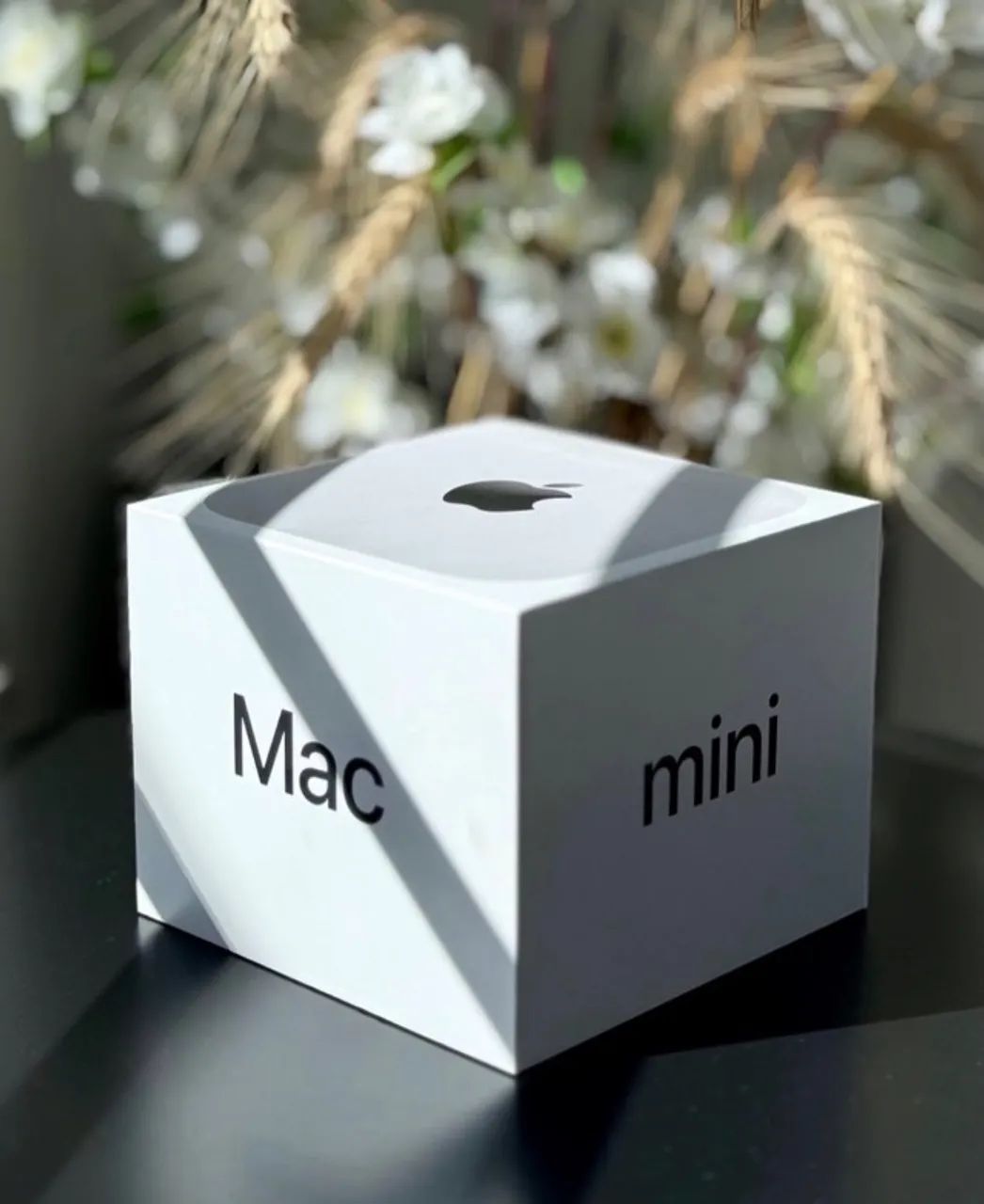 Mac Mini 