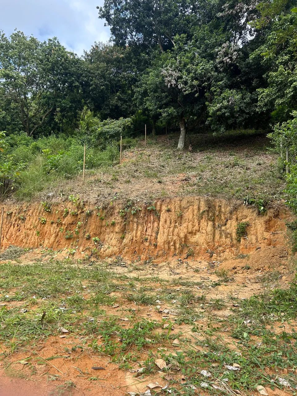 VENDO TERRENO EM XERÉM  - Foto 4