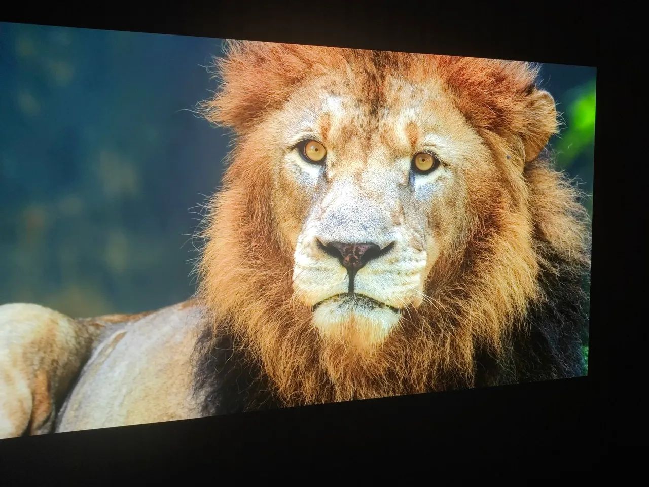 LG OLED C4 55 POLEGADAS, PERFEITA CONDIÇÃO, Só estou vendendo porque vou comprar outra - Foto 2