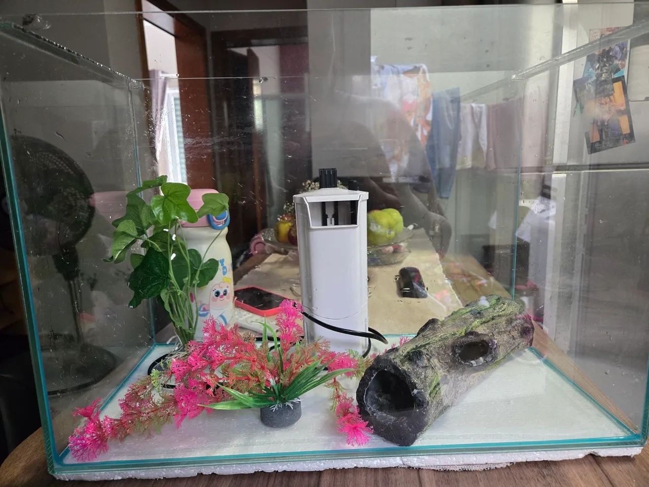 Aquario 43L + enfeite + filtro 