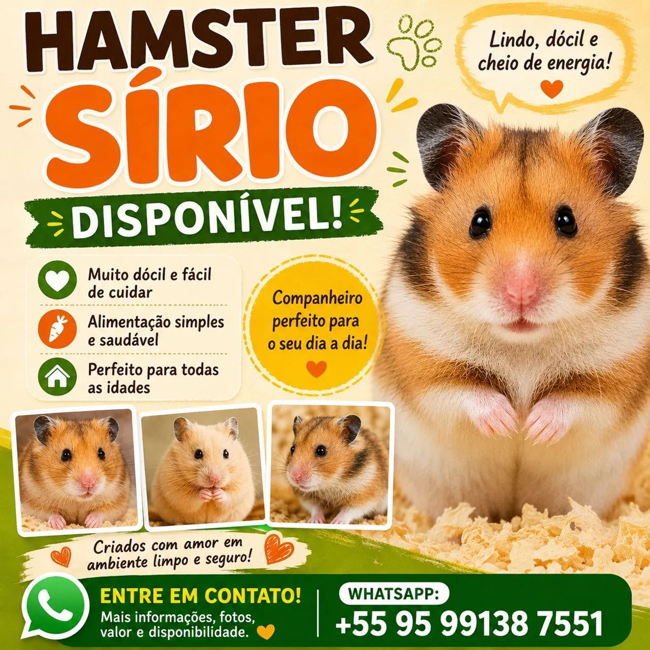 Hamster Sírio 