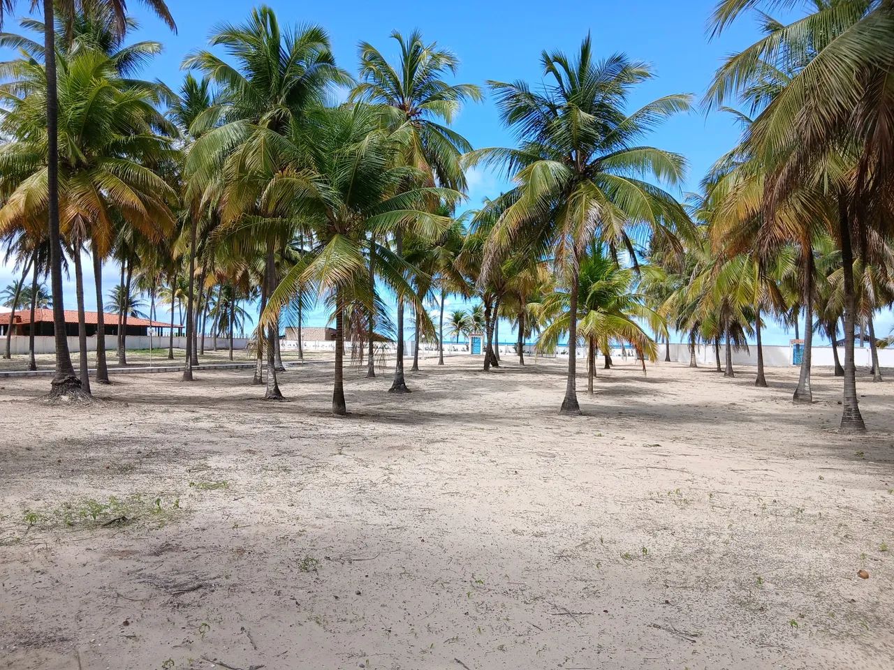 CHÁCARA BEIRA-MAR - Foto 5