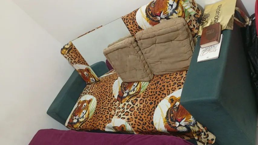 Sofá Cama, Rack e Forno - Foto 3