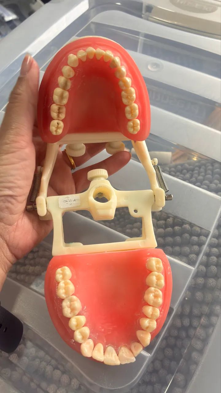Manequim de dentistica - Foto 2