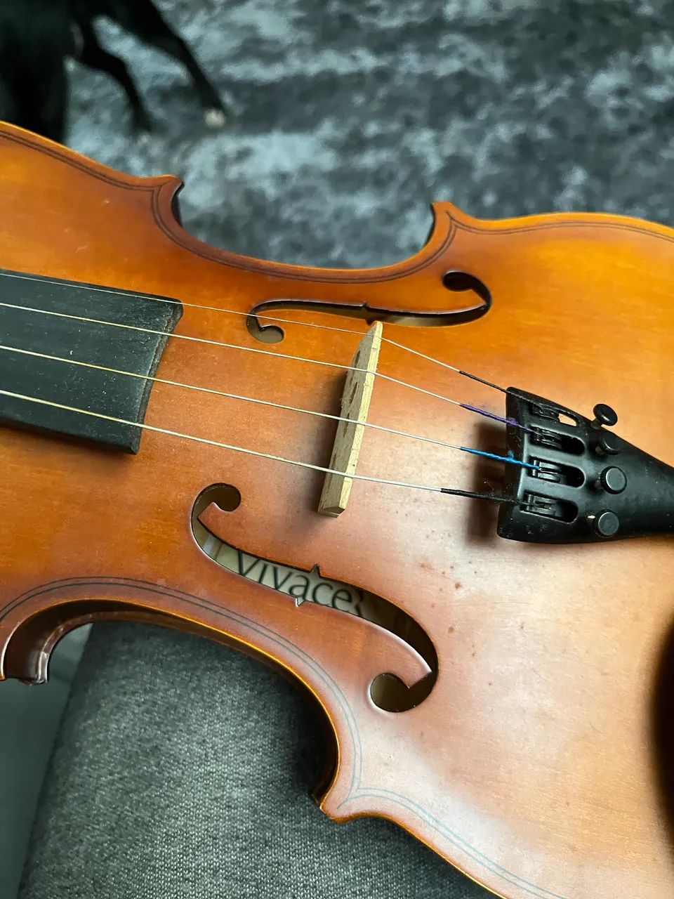 Violino Vivace  - Foto 2