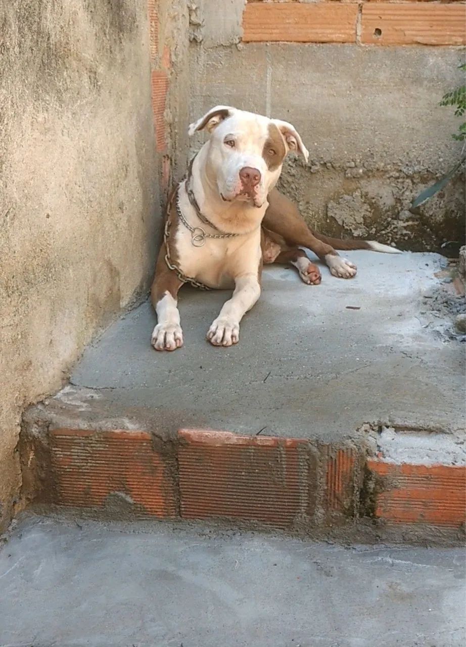 Doação  - Foto 2