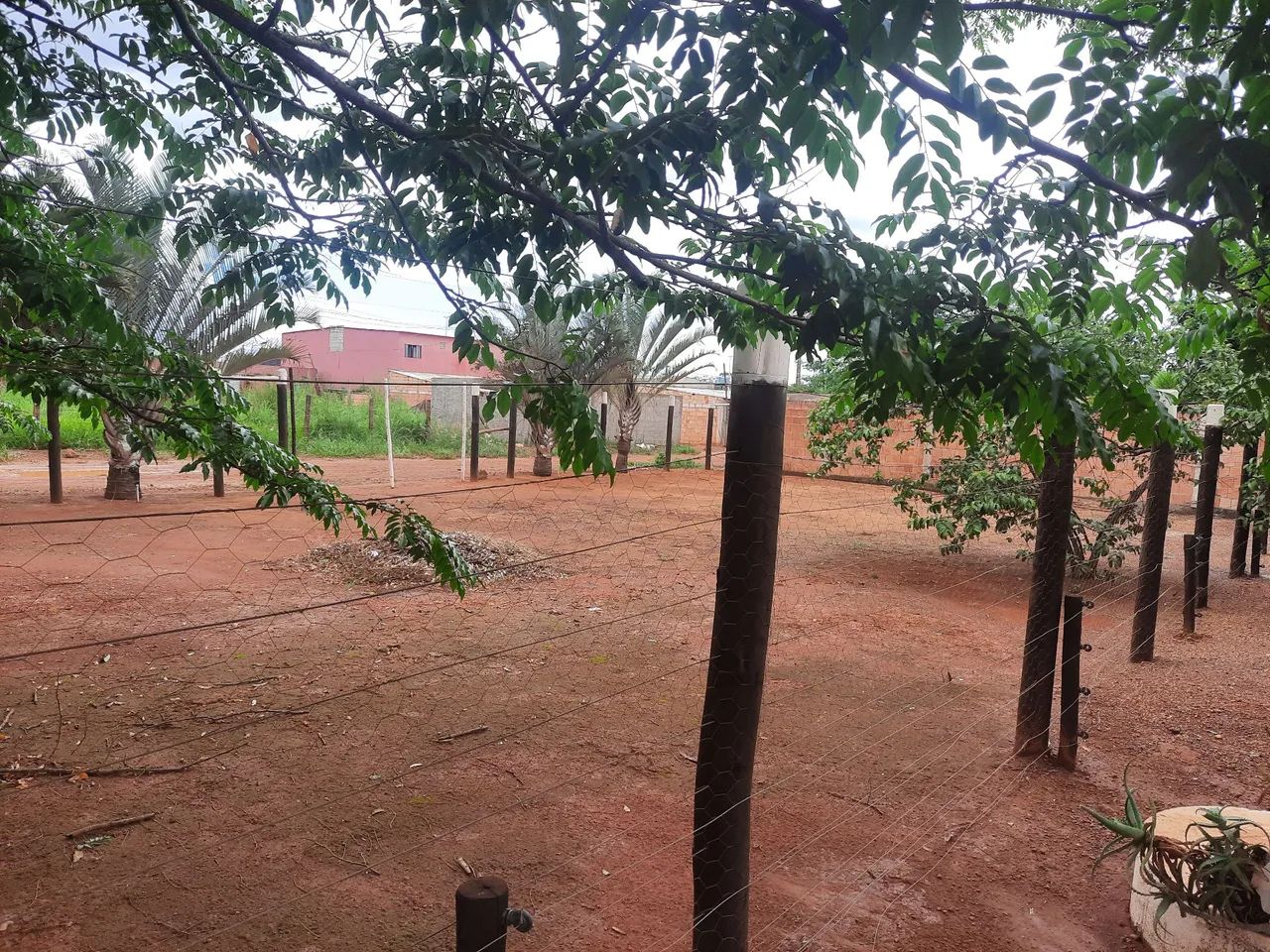 Casa rural/chácara/terreno/lote  - Foto 3