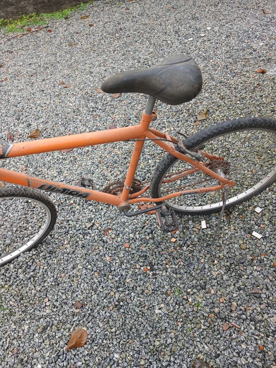 Bicicleta - Foto 2