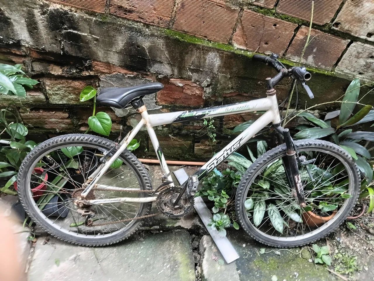 Bicicleta status lenda 