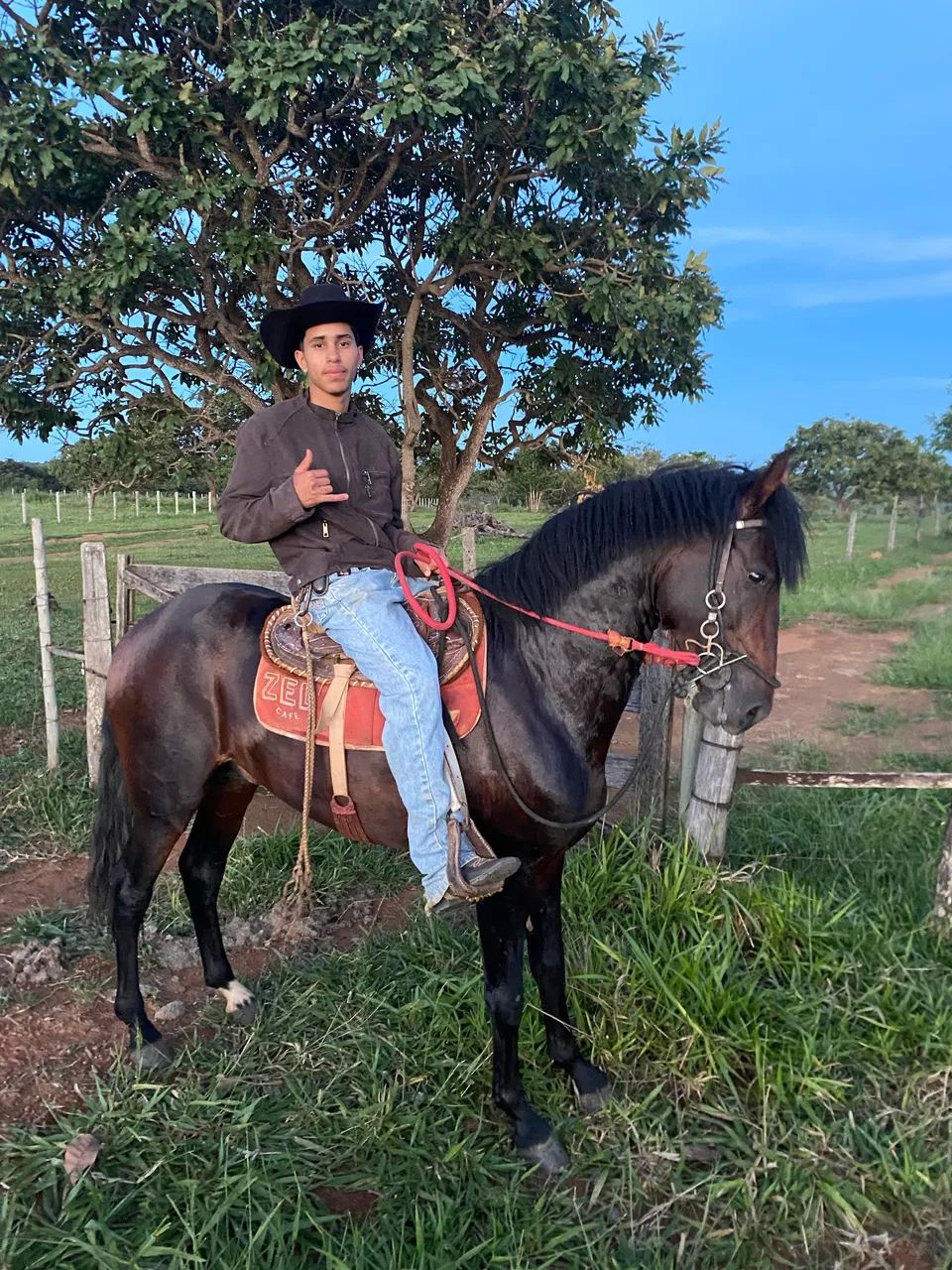 Potro MM, macha picada, 3 anos e 7 meses, sem papel, mais informações pv - Foto 4