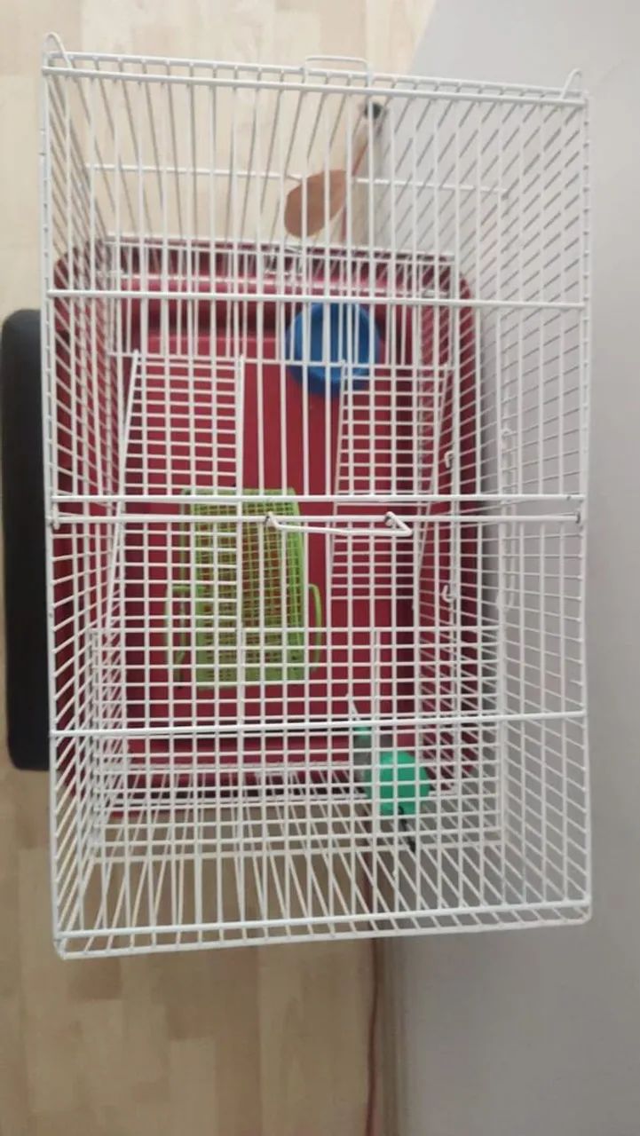 Gaiola hamster - Foto 2