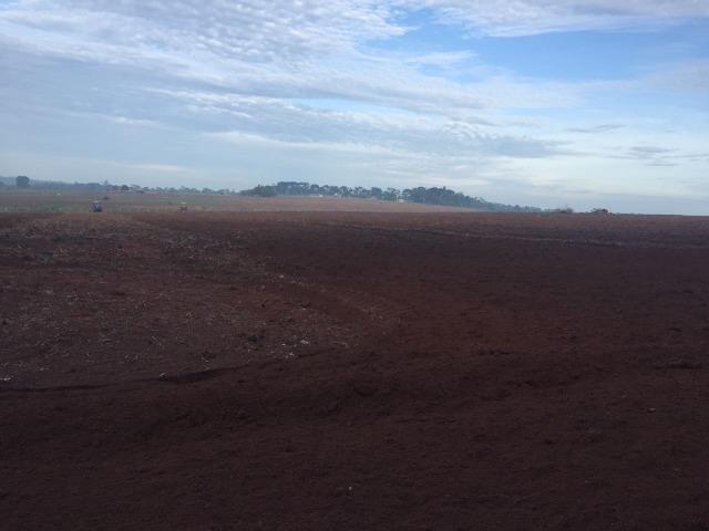 Fazenda 15000 ha 150 Km Sorriso MT - Foto 7