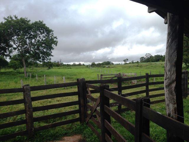 Fazenda 950 ha Rosário Oeste MT - Foto 2
