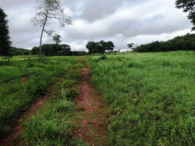 Fazenda 950 ha Rosário Oeste MT - Foto 7