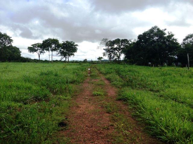Fazenda 950 ha Rosário Oeste MT - Foto 13