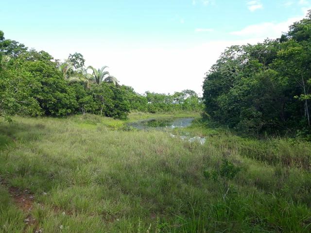 Fazenda em jangada 189 hectares - Foto 2