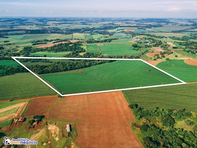 Área Rural distrito Bela Vista - Marechal Cândido Rondon - PR - Foto 5