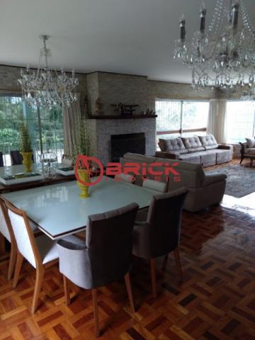 Maravilhoso sítio com área de mais de 5 mil m² com casa principal e casa de caseiro. - Foto 8
