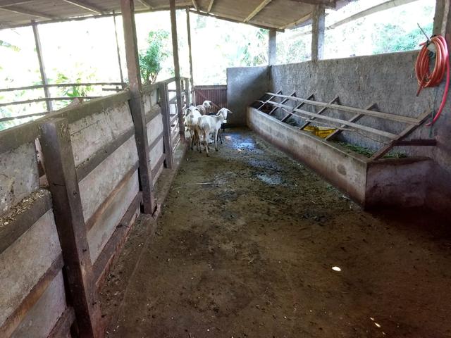 Área Itaipuaçu Maricá - Foto 6