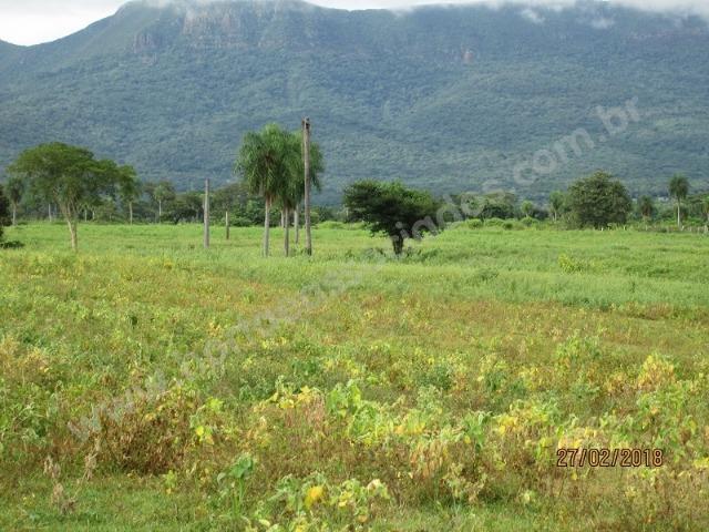 Fazenda com 881 hectares em Corumbá-MS para agricultura e pecuária - Foto 5