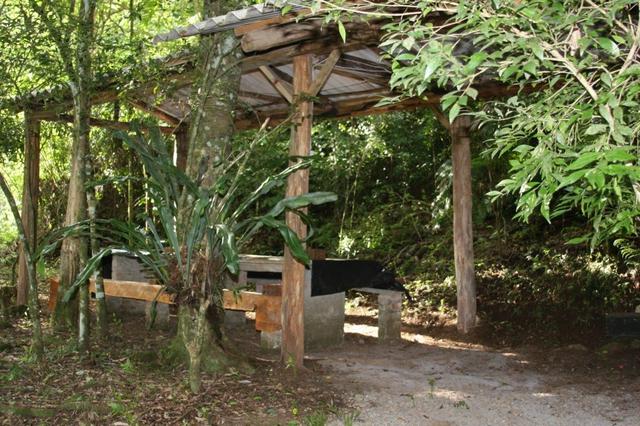 Belo sitio em farroupilha com 10 hectares - Foto 4