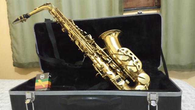 Saxofone Alto - VOGGA - Aceito Cartões (crédito e débito)