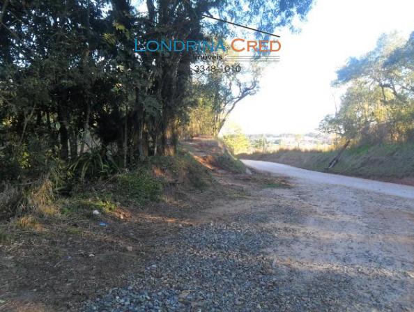 Rural comercial - Bairro Centro em Campina Grande do Sul - Foto 2