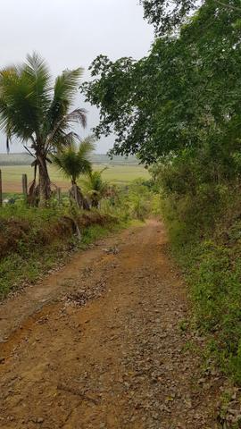 Vendo fazenda em Nova Almeida - Foto 17