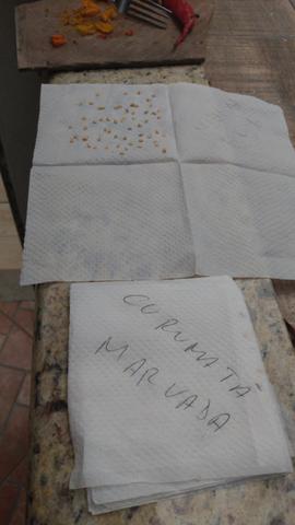 40 Sementes de Pimentas - Foto 2