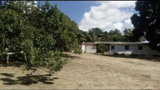 Chácara no Lindoya - Satuba - Foto 2