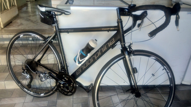 bike speed endorphine