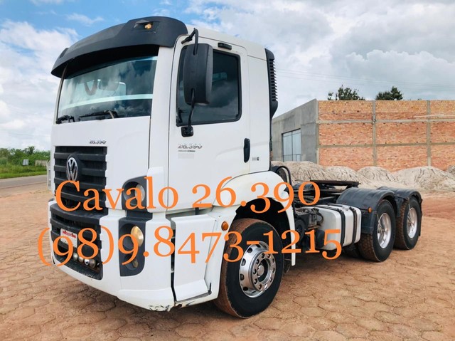 CAVALO 26.390