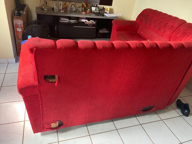 Cobrir sofa | +69 anúncios na OLX Brasil