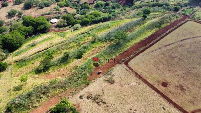 Sítio em Cravinhos/SP I Imobiliária em Ribeirão Preto I Brioni imóveis.