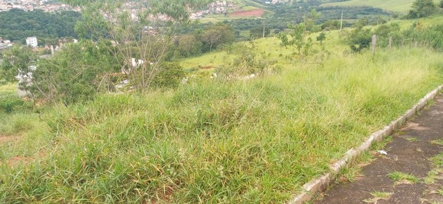 T351 - Lote semi plano com 480 m2 - Foto 2