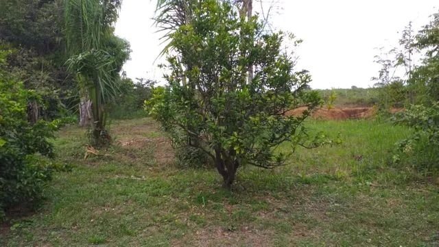 Vendo lote rural - Foto 3