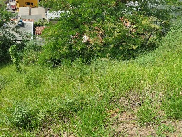 Oportunidade Vende-se Lote Iguaçu  - Foto 3