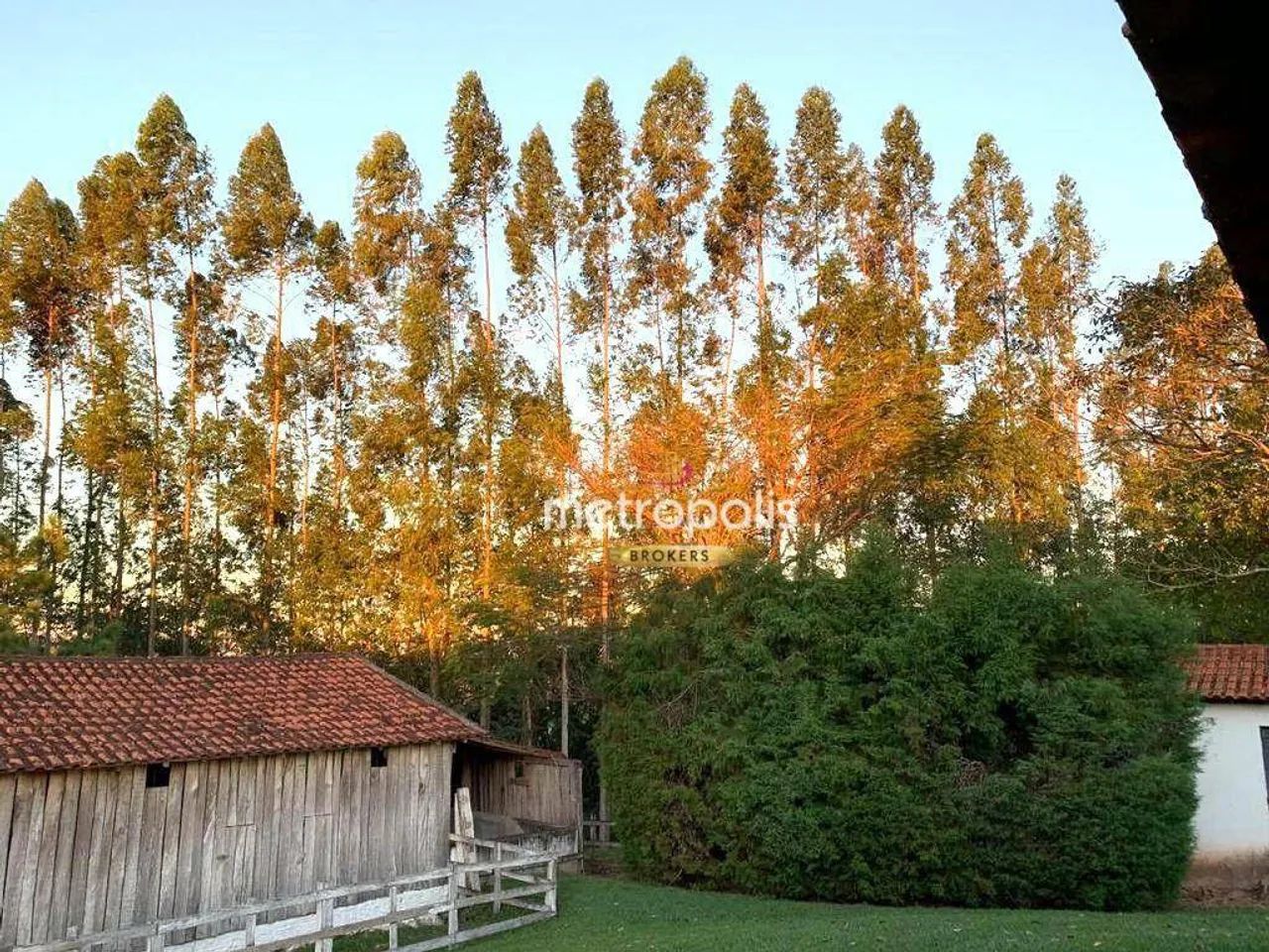 Sítio à venda, 6000 m² por R$ 1.401.000,00 - Bairro dos Lemes - Torre de Pedra/SP - Foto 5