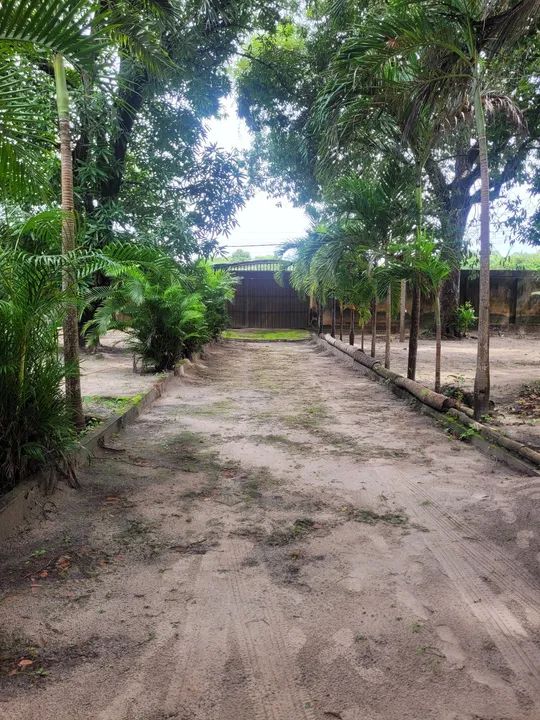 CHÁCARA UBATUBA/LARANJAL  - Foto 5