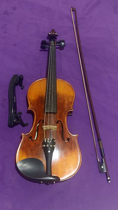 Violino Eagle VK544 4/4